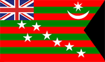 flag used during the Home Rule movement in 1917